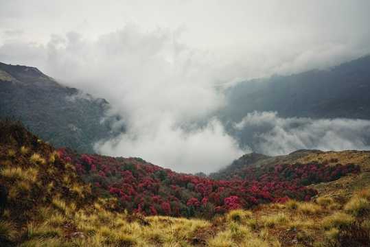 尼泊尔喜马拉雅山自然景物图片