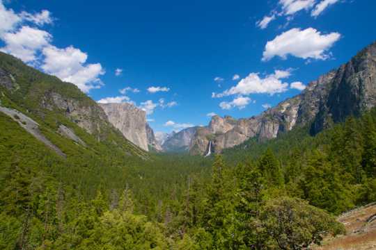 美国加州树林路径景致图片