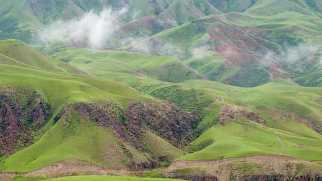 绿色的新疆天山草地牧区景物图片