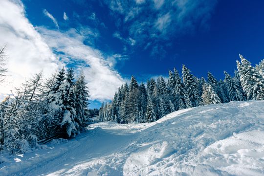 寒冬丛林雪山景观图片