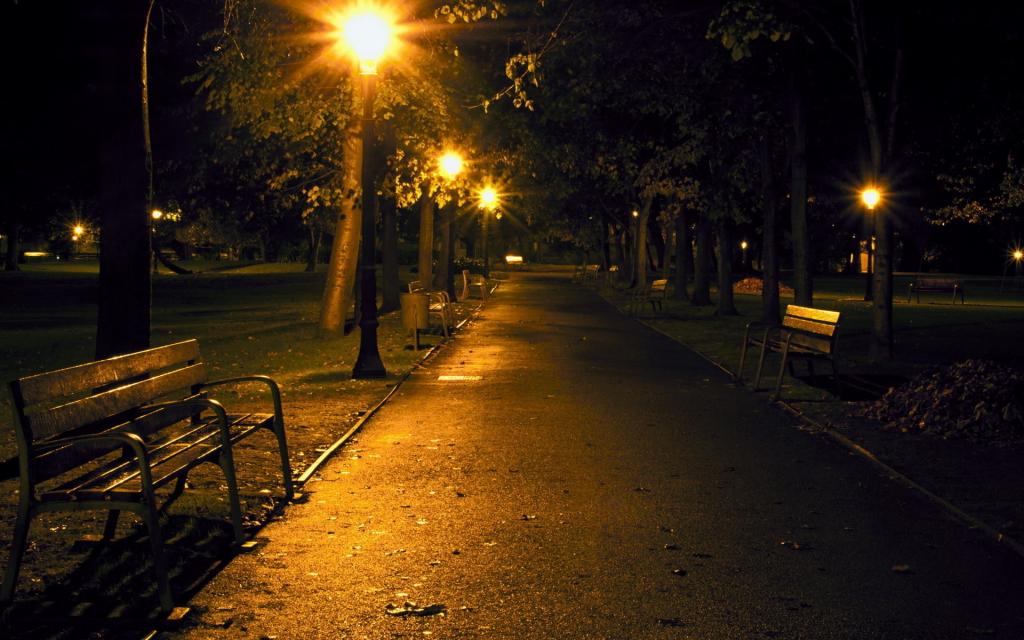 灯笼,板凳,路径,晚上,公园