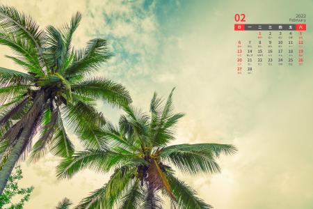2022年2月清新椰树日历